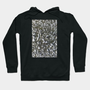 Sharp icicles Hoodie